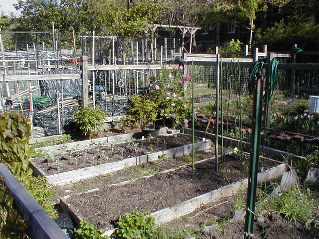 raised bed gardening ideas. The advantages of raised beds